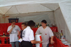 035-Dino_Fest35
