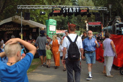 047-Dino_Fest-98