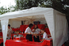 082-Dino_Fest82