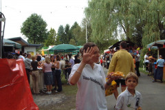 087-Dino_Fest87