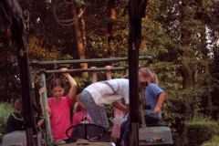 09-Dino_Fest_102