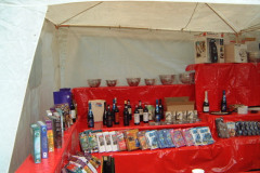 103-Dino_Fest-86