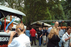 124-Dino_Fest124