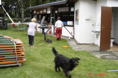 005-agility2007291