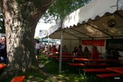 076-Dino-2007-068