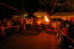008-IMGP3164