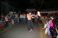 009-IMGP3165