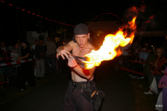 010-IMGP3166