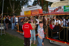 11-IMGP3101
