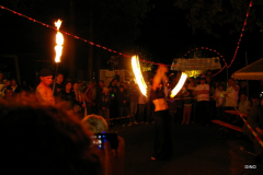132-IMGP3289