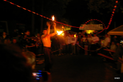 152-IMGP3241