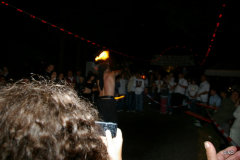 153-IMGP3242