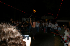 154-IMGP3243
