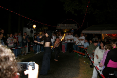 154-IMGP3311