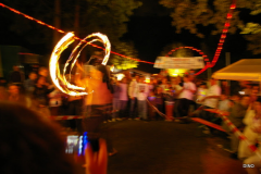 155-IMGP3244