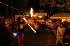 156-IMGP3313
