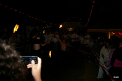 157-IMGP3314