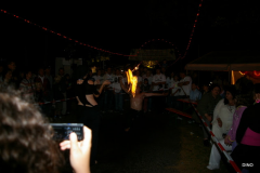 158-IMGP3315