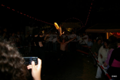 159-IMGP3316