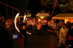 160-IMGP3317