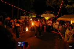 161-IMGP3250