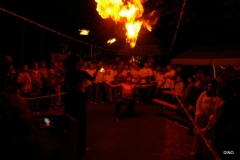 162-IMGP3319