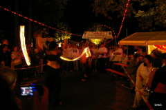 164-IMGP3321