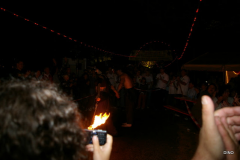 167-IMGP3324