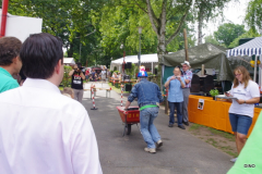 009-IMGP1993