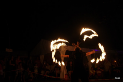 01-IMGP1293