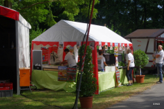 02-IMGP0974