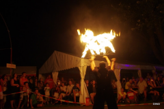 02-IMGP1294