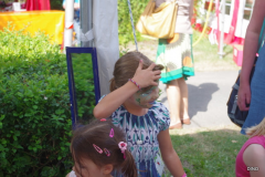 025-IMGP1107-001