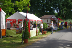03-IMGP0975