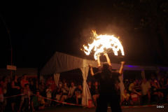 03-IMGP1295
