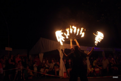 04-IMGP1296