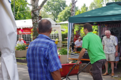 04-IMGP1498