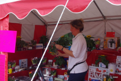04-IMGP1568