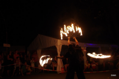 07-IMGP1299