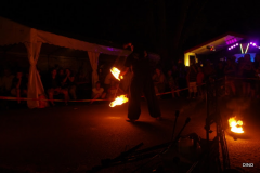 23-IMGP1339