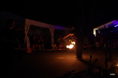 26-IMGP1342