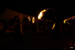 67-IMGP1422