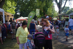 005-IMGP0340