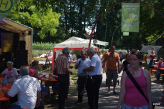 010-IMGP0345