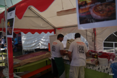 19-IMGP0228