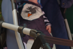 07-IMGP6141