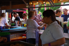 4-IMGP6176