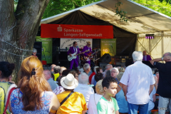 4-IMGP6537