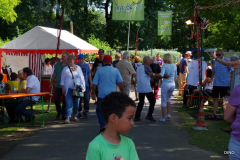 8-IMGP6541
