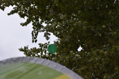 DSC_0430